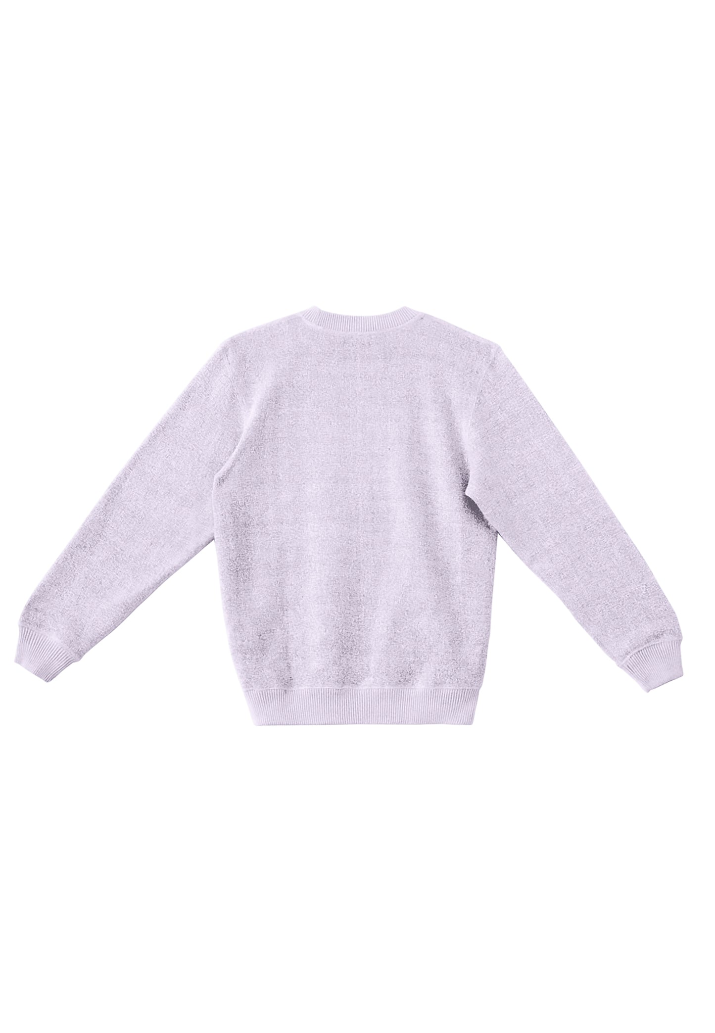 Classic Crewneck Sweatshirt Collection | Men's