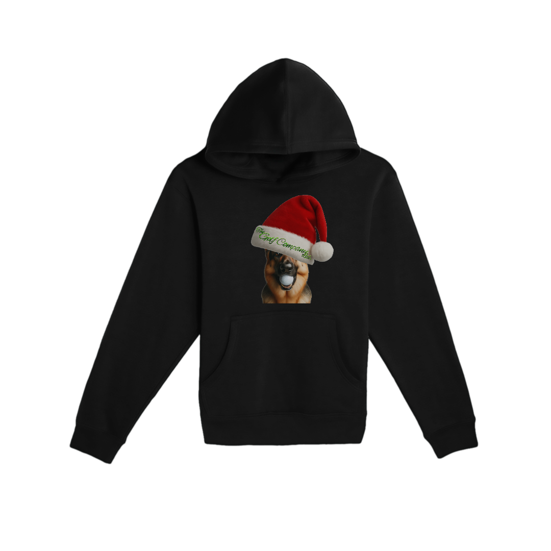 Premium Youth Pullover Hoodie | Holiday Hudson