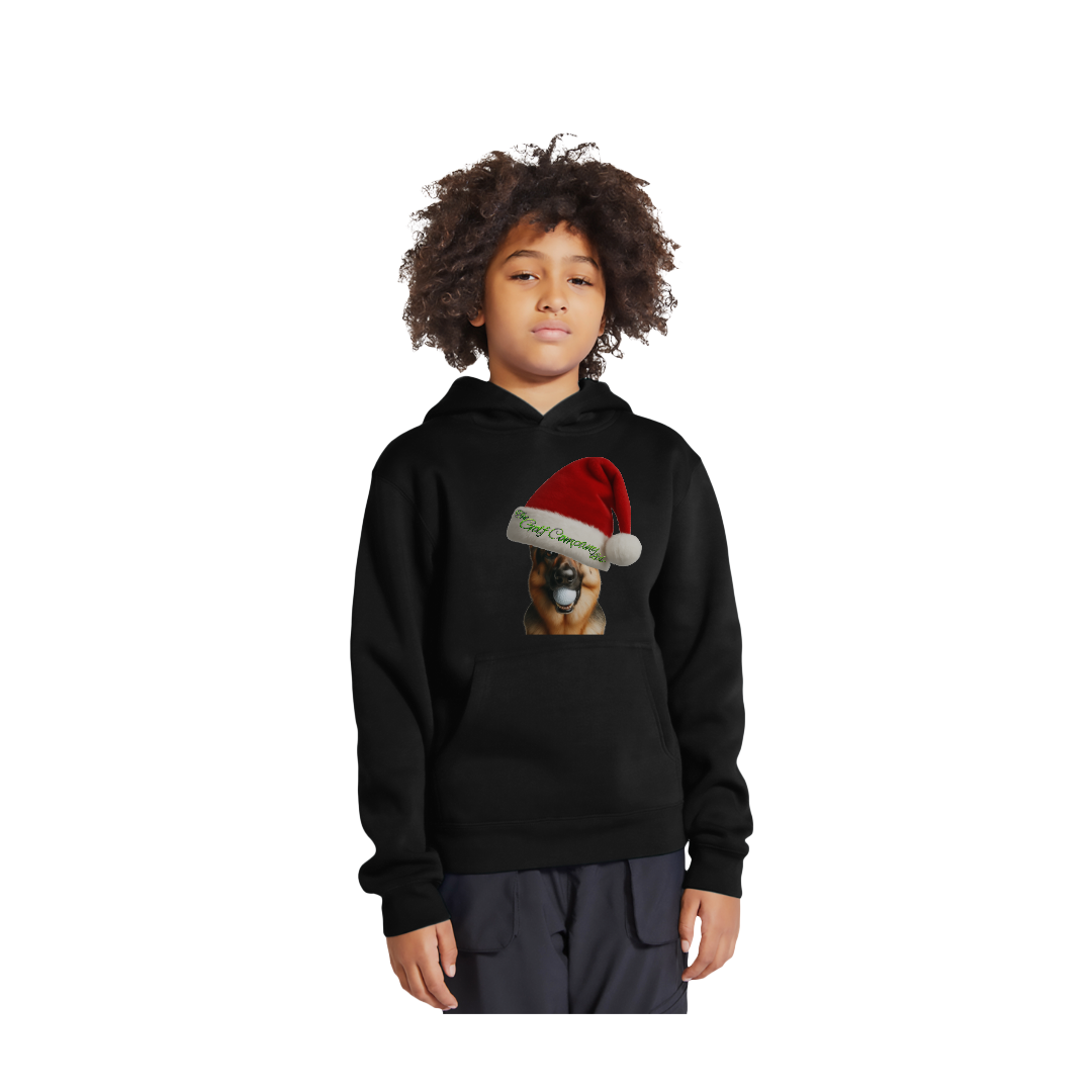 Premium Youth Pullover Hoodie | Holiday Hudson