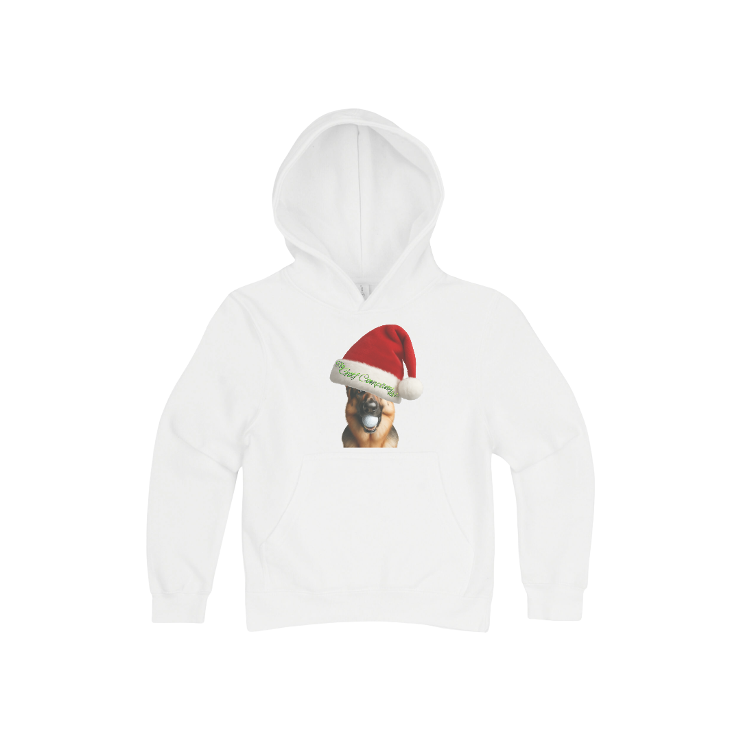 Premium Youth Pullover Hoodie | Holiday Hudson