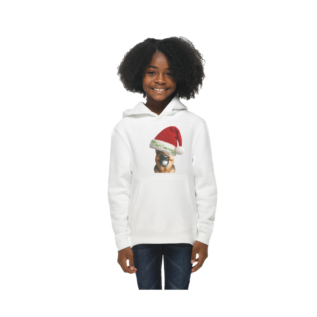 Premium Youth Pullover Hoodie | Holiday Hudson